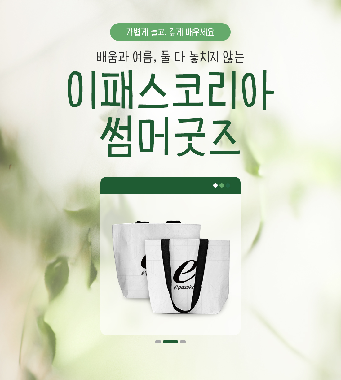 2025 여름 이벤트