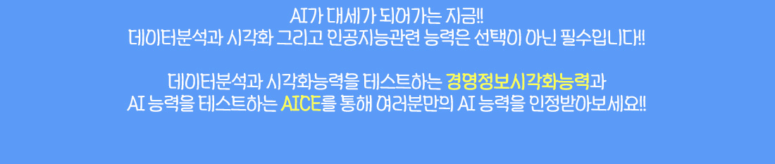 경영정보시각화능력+AICE Associate AI 시각화 패키지
